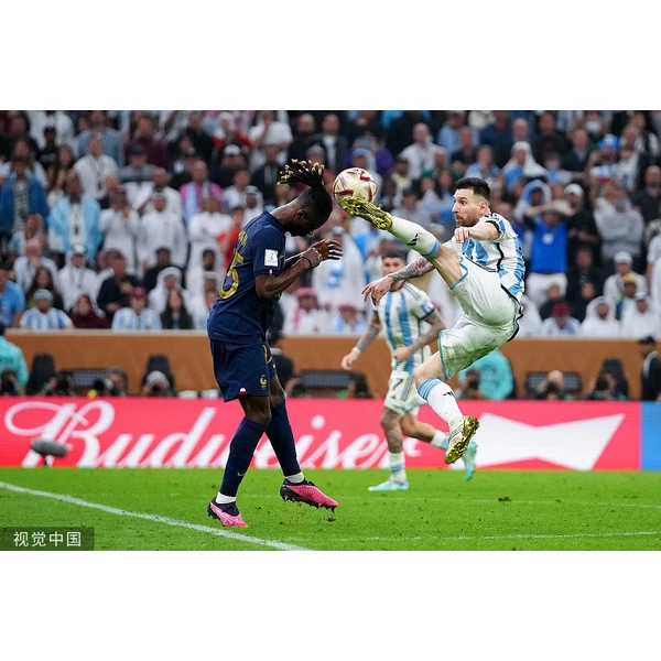 专业赛事服务, 为你而来